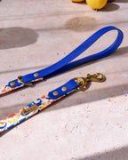 Laisse Azulejo bi-matière