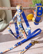 Laisse Azulejo bi-matière