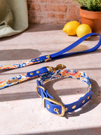 Laisse Azulejo bi-matière